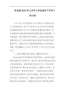 党支部2025年上半年工作总结及下半年工作计划