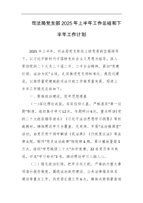 司法局党支部2025年上半年工作总结和下半年工作计划