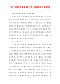 2025年抓基层党建工作述职报告应急管理