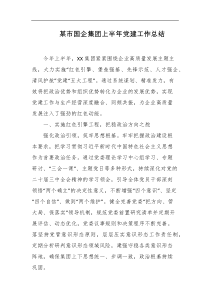某市国企集团上半年党建工作总结