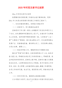 2025年村党支部书记述职