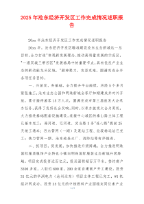 2025年沧东经济开发区工作完成情况述职报告
