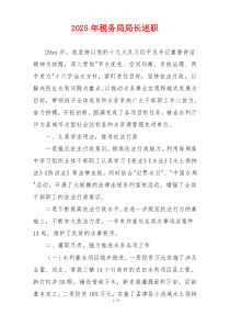 2025年税务局局长述职