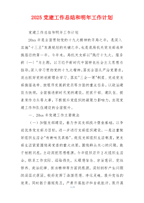 2025党建工作总结和明年工作计划