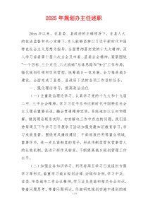 2025年规划办主任述职
