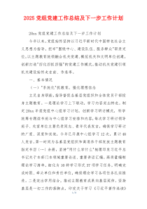2025党组党建工作总结及下一步工作计划