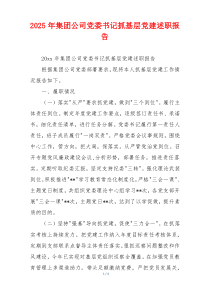 2025年集团公司党委书记抓基层党建述职报告