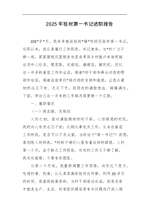 2025年驻村第一书记述职报告
