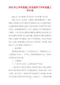 2025年上半年党建工作总结和下半年党建工作计划
