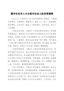 副市长在市人大分组讨论会上的发言提纲