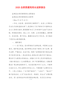 2025自然资源局局长述职报告