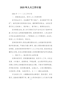 2025年人大工作计划