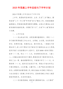 2025年党建上半年总结与下半年计划