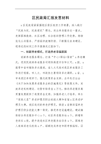 区民政局汇报范文近期工作汇报总结报告