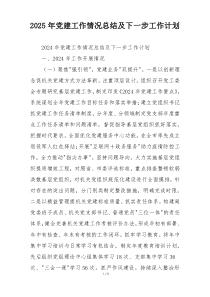 2025年党建工作情况总结及下一步工作计划