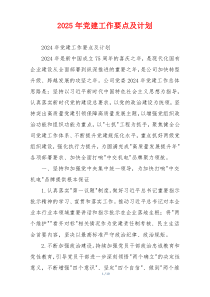 2025年党建工作要点及计划