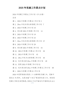 2025年党建工作要点计划