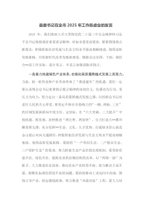 县委书记在全市2025年工作务虚会的发言