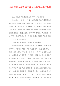 2025年党支部党建工作总结及下一步工作计划