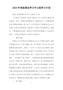 2025年党组理论学习中心组学习计划