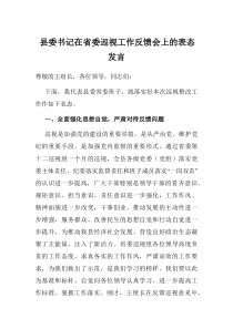 县委书记在省委巡视工作反馈会上的表态发言