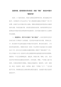 县委常委组织部部长研讨发言党建导航推动乡村振兴提档升级
