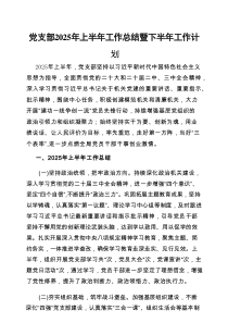 2025年上半年工作总结暨下半年工作计划（党支部）