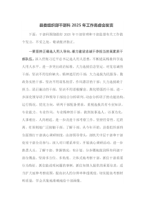 县委组织部干部科2025年工作务虚会发言