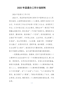 2025年县委办工作计划材料