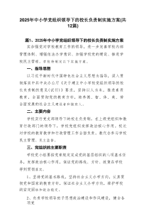 2025年中小学党组织领导下的校长负责制实施方案（共12篇）