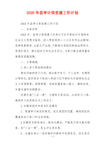 2025年县审计局党建工作计划