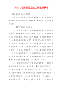 [3000字]抓基层党建工作述职报告
