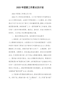 2025年团委工作要点及计划