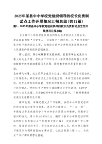 2025年某县中小学校党组织领导的校长负责制试点工作开展情况汇报总结范文（精选12篇）