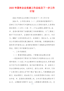 2025年国有企业党建工作总结及下一步工作计划
