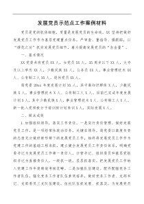 发展党员示范点工作案例材料