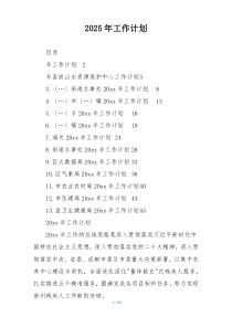 2025年工作计划