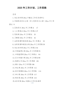 2025年工作计划、工作思路
