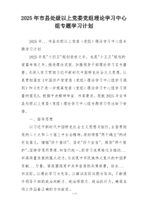 2025年市县处级以上党委党组理论学习中心组专题学习计划