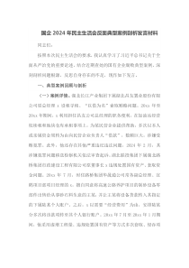 国企2024年民主生活会反面典型案例剖析