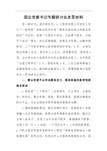 国企党委书记专题研讨会