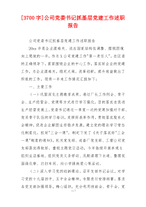 [3700字]公司党委书记抓基层党建工作述职报告