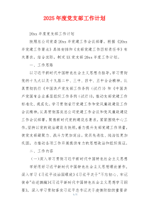 2025年度党支部工作计划