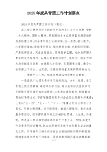 2025年度共青团工作计划要点