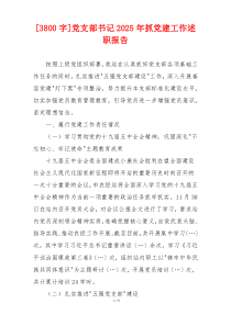 [3800字]党支部书记2025年抓党建工作述职报告