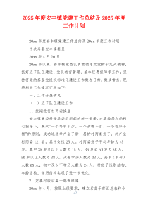 2025年度安丰镇党建工作总结及2025年度工作计划