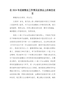 在2024年巡查整改工作情况反馈会上的表态发言