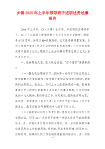 乡镇2025年上半年领导班子述职述责述廉报告