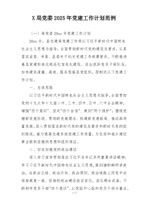X局党委2025年党建工作计划范例