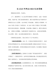 在2025年两会分组讨论发言稿
